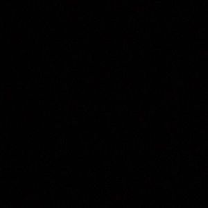 Meet your Posher, Sameesha